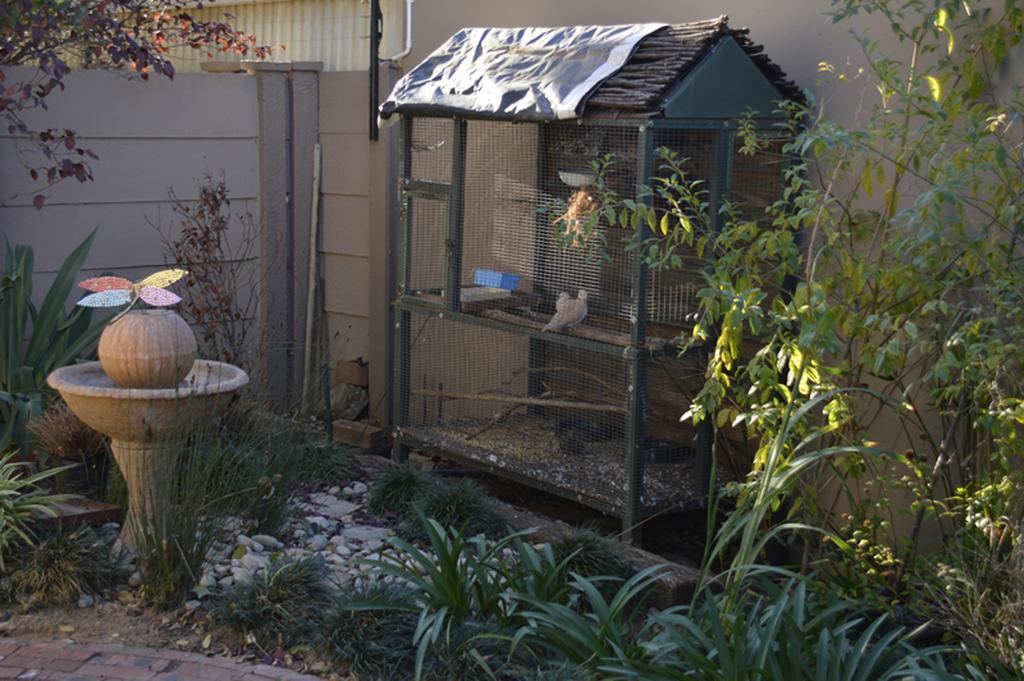Two Bells Guest House Bloemfontein Exteriér fotografie